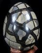 Septarian Dragon Egg Geode - Crystal Filled #37359-3